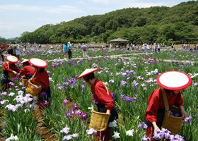 北山公園