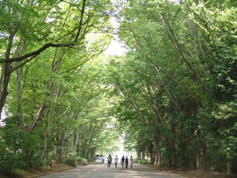 東京学芸大学