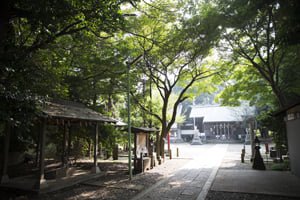 伊豆美神社