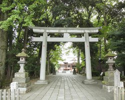 武蔵野八幡宮