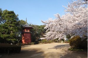 哲学堂公園