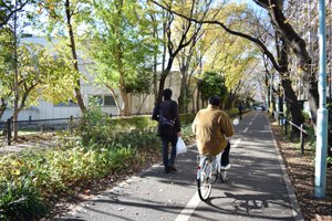 多摩湖自転車道