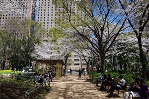 新宿中央公園