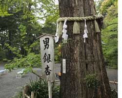 大宮八幡宮