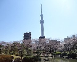 隅田公園