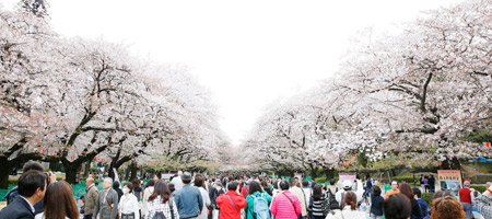 上野恩賜公園