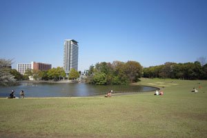 多摩中央公園