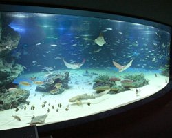 サンシャイン水族館