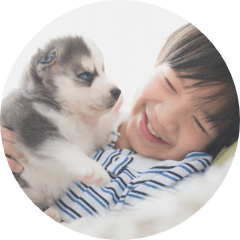 イメージ：ペット