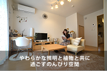 やわらかな照明と植物と共に過ごすのんびり空間