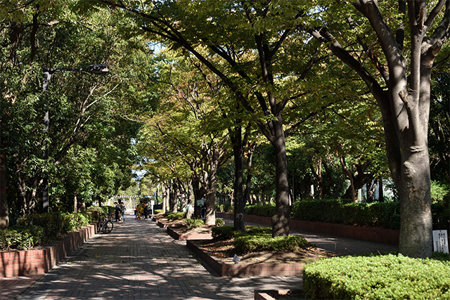 茨木市民の憩いの場となっている公園が、街のあちこちに見られる。