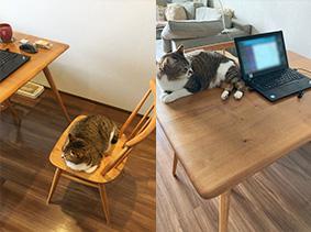 Cさん部屋