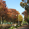 兵庫県立西猪名公園