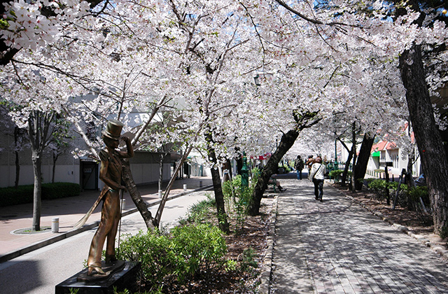 宝塚 花のみち