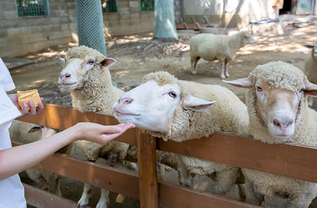 五月山動物園