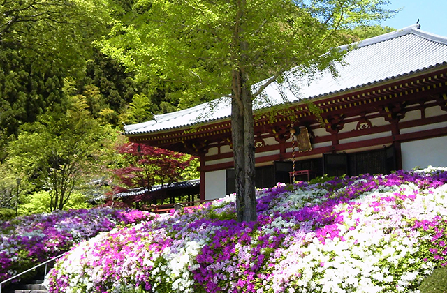 久安寺