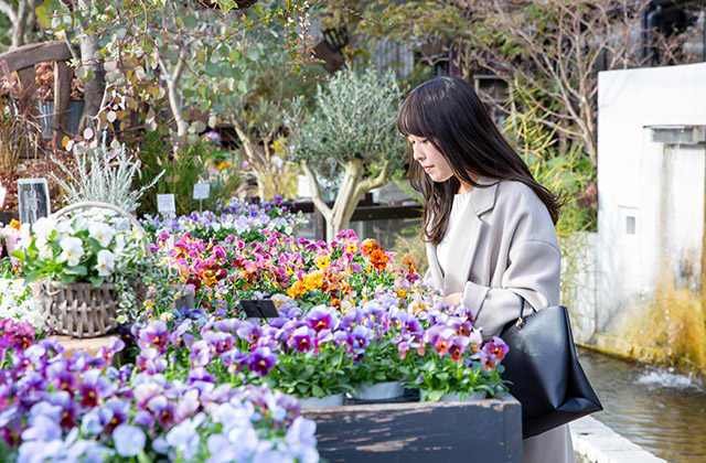 the Farm UNIVERSAL OSAKA（ザ ファーム ユニバーサル）