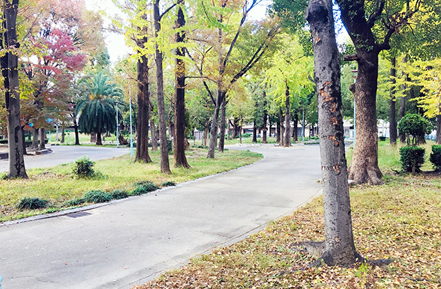 十三公園