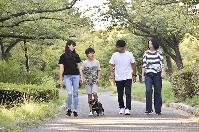 身近に自然のある、ゆったりとして落ち着いた街並み。