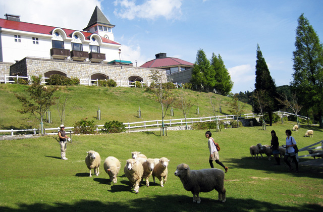 神戸市立六甲山牧場
