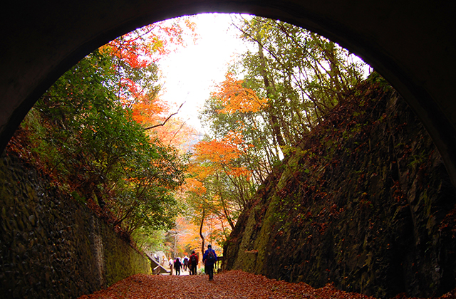 JR福知山線廃線敷