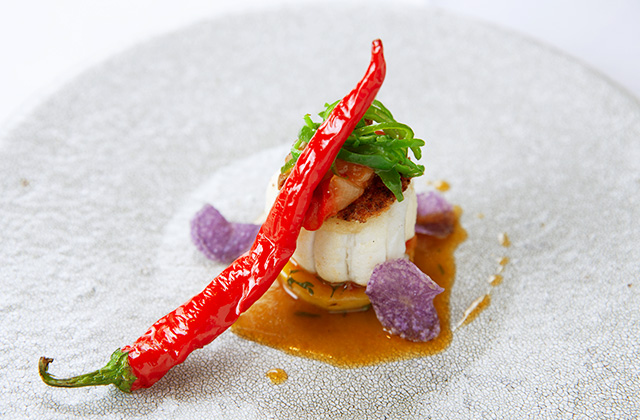 igrek VEGA（イグレック ベガ）