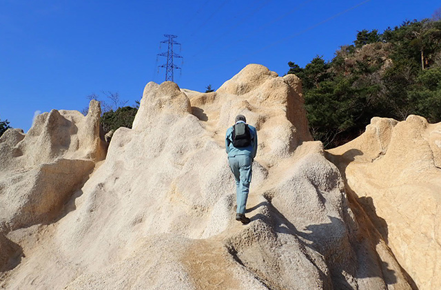 芦屋ロックガーデン