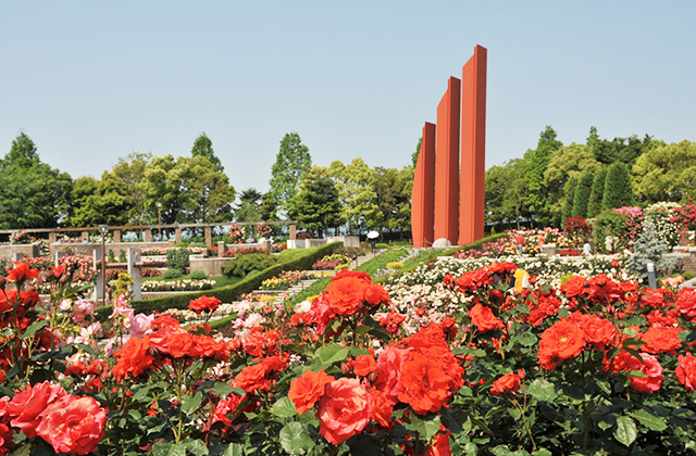 荒牧バラ公園