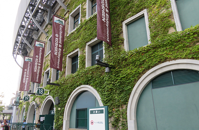 阪神甲子園球場