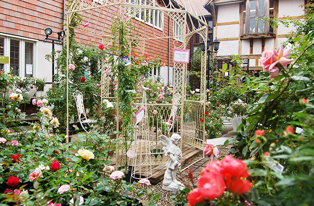 あいあいパーク