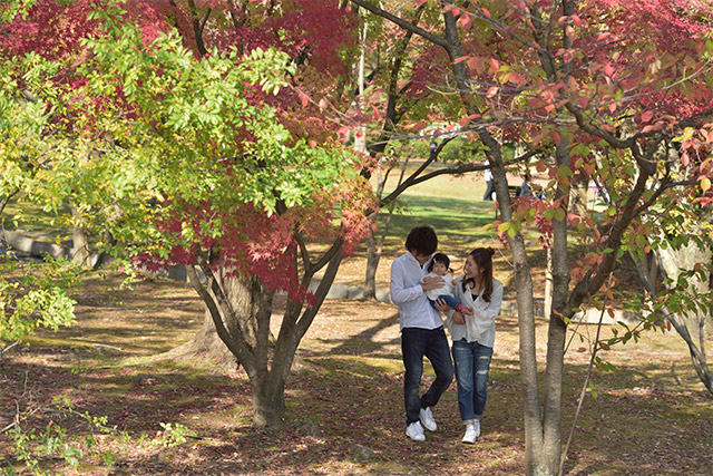 週末は車で「万博記念公園」など、公園へ行くことが多いという。