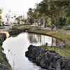 境川せせらぎ緑道