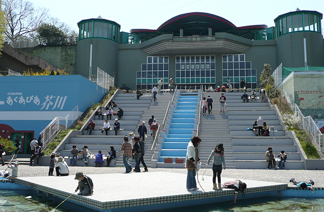 高槻市立自然博物館（あくあぴあ芥川）