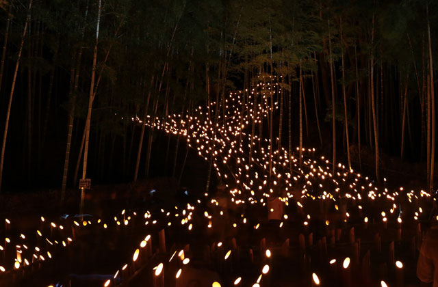 千里の竹あかり