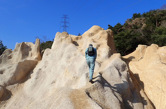芦屋ロックガーデン