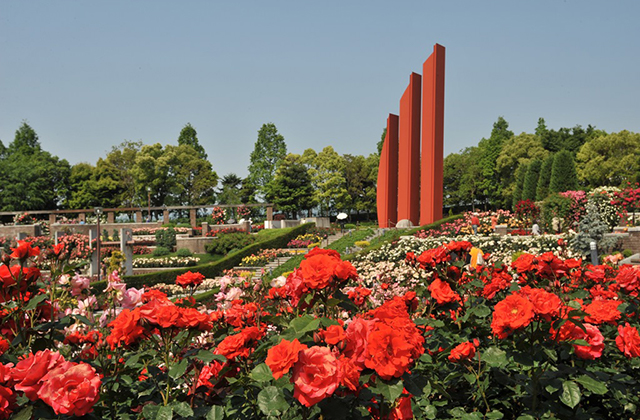 荒牧バラ公園