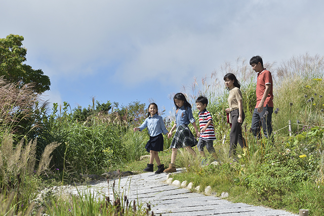 生活に便利で自然を身近に感じられる、神戸市灘区。