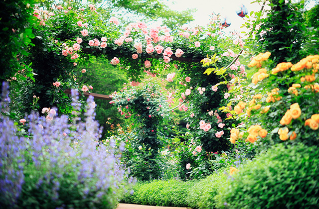 神戸布引ハーブ園