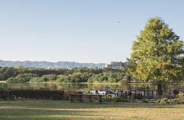 昆陽池公園