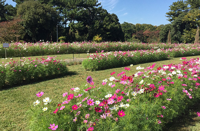 大阪府営服部緑地