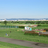 淀川河川公園（鳥飼上地区）