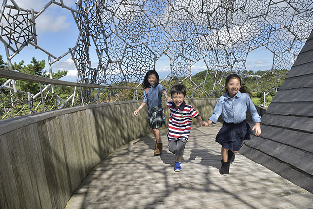 子どもたちがのびのびと過ごせる開放的な場所も多い。