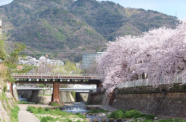 都市の便利さと自然を両立
