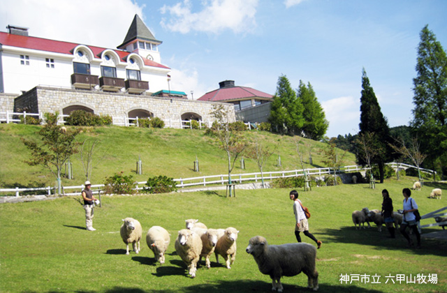 神戸市立六甲山牧場