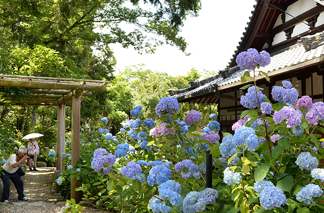 頼光寺