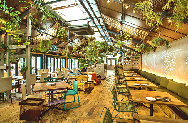 the Farm UNIVERSAL OSAKA（ザ　ファーム　ユニバーサル オオサカ）