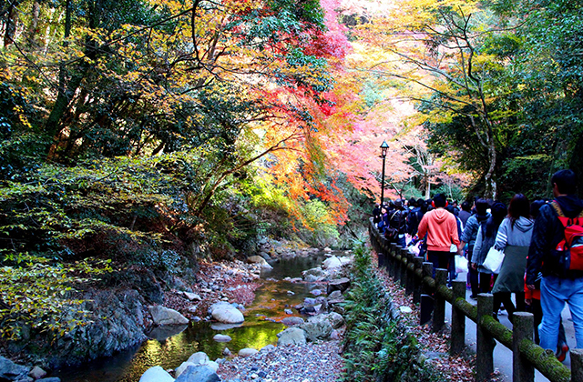 明治の森箕面国定公園