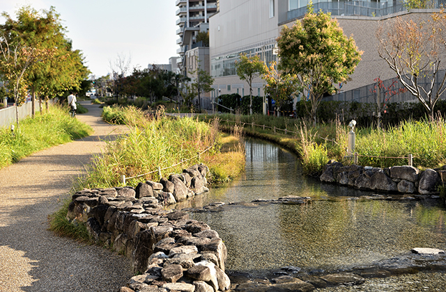 境川せせらぎ緑道