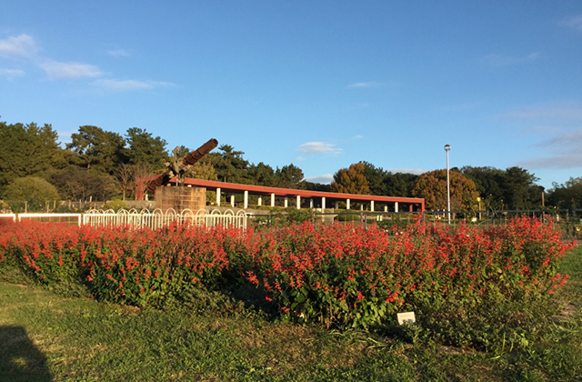 大阪府営服部緑地