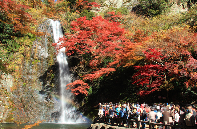 箕面大滝